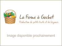 Vinaigre framboises notre production 500 ml
