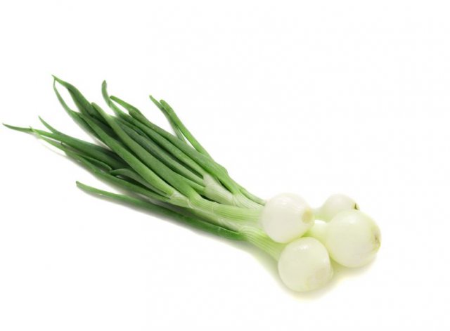 Oignons frais la botte