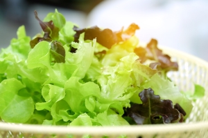 Salade à tondre - 100 g