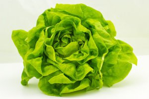 Salade pommée verte - 1pce